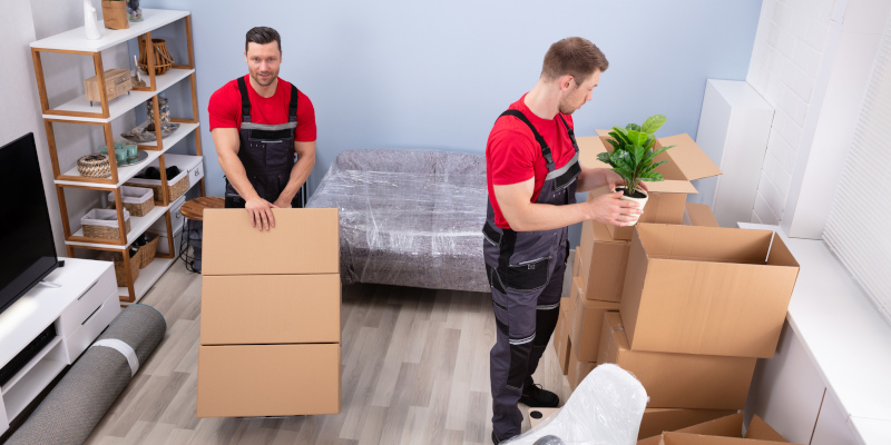 Move-Out Cleaning in Holly Springs, North Carolina